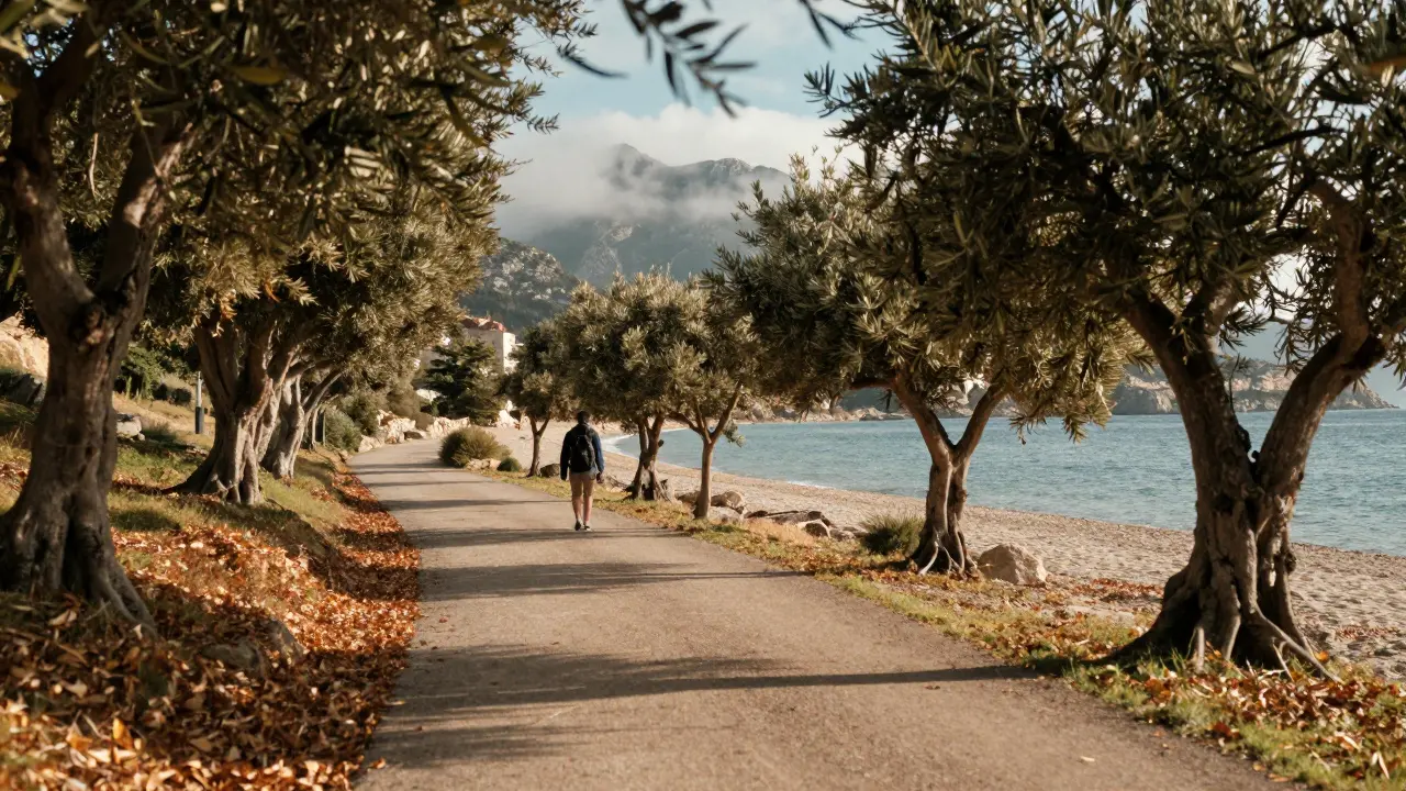 ¿Cuándo es temporada baja en Mallorca? Mejores meses para viajar con bajo presupuesto